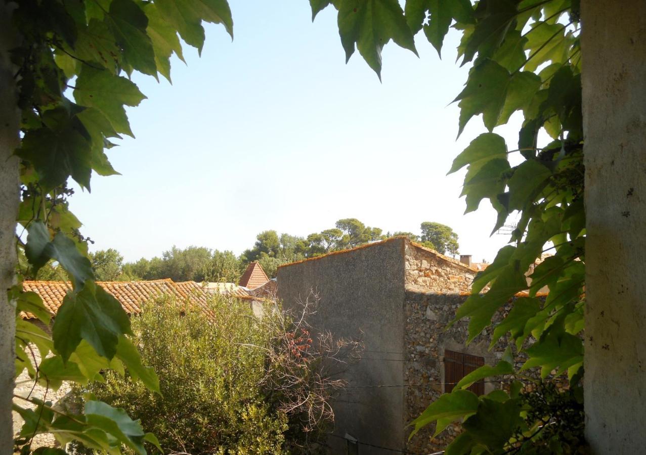 Homestay Logis De La Meschaussee, Dans Donjon Du Xie Siecle Canet (Aude)